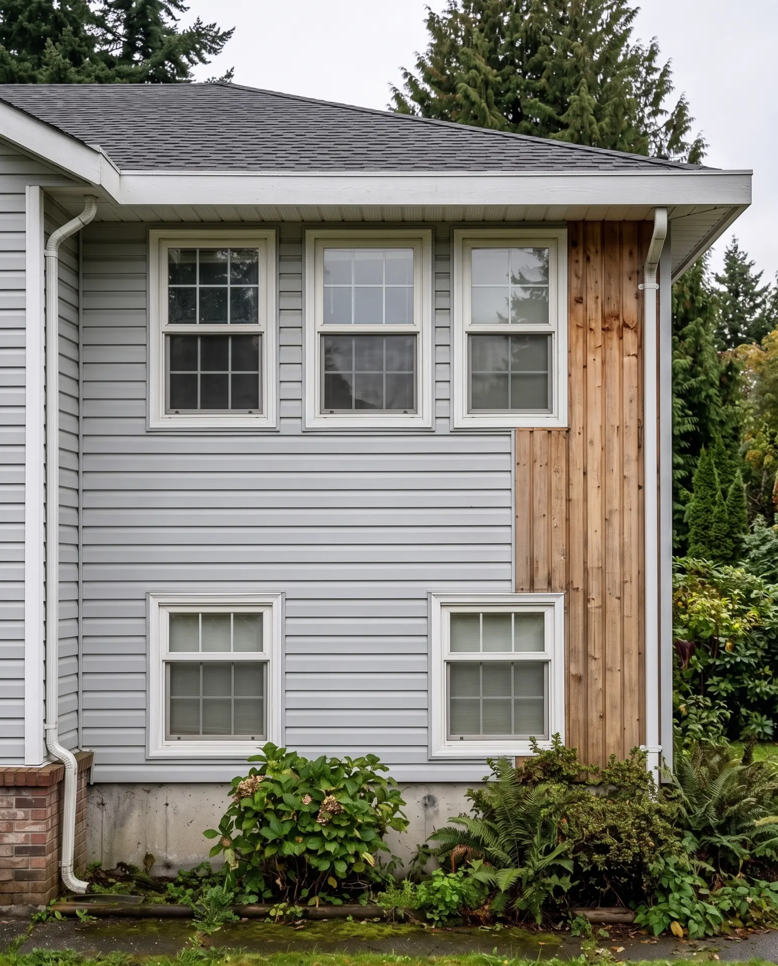 House Washing — Siding Softwash — after cleaning